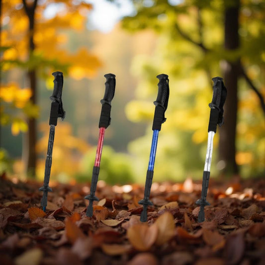 Baton_de_marche_Travel_divers_coloris