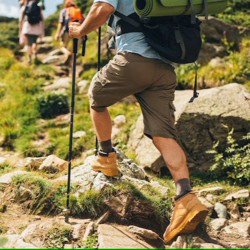 Batons_de_marche_Excursion_tous_terrain