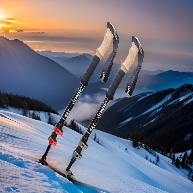 Le_Baton_de_marche_Rando