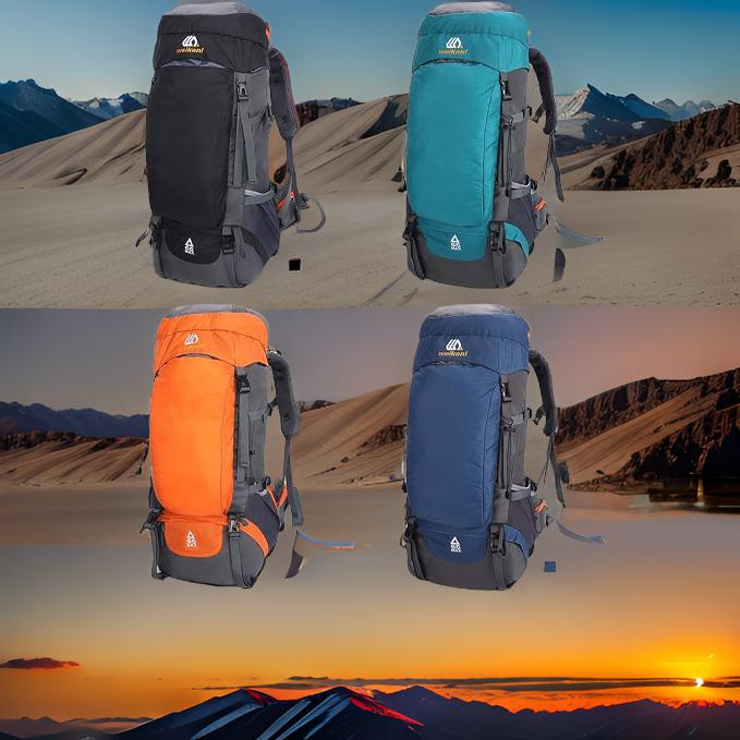 Sac à dos imperméable Travel65L couleurs