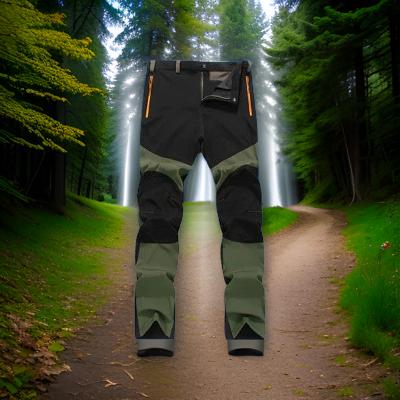 pantalon cargo hikingpants noir